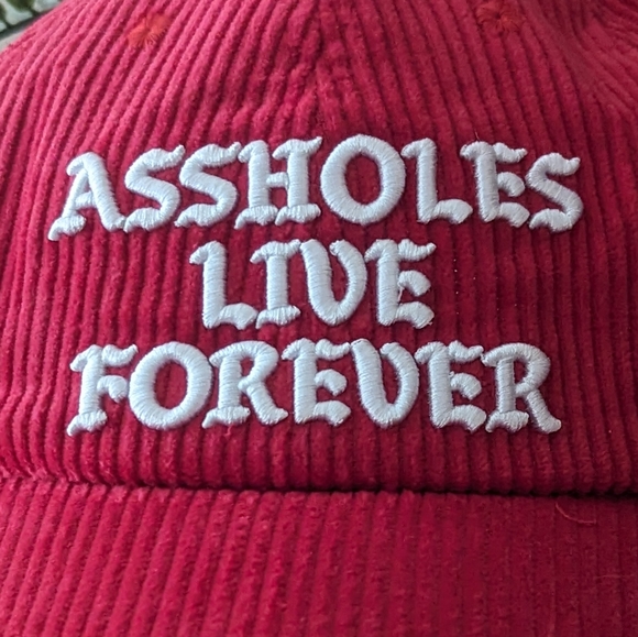 ASSHOLES LIVE FOREVER Red Corduroy Dad Hat - Picture 5 of 8